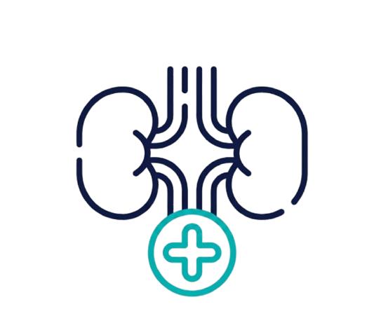 Nephrology billing icon